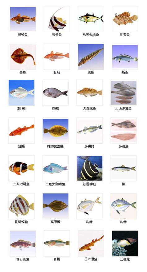 魚有哪些